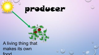 producer

A living thing that
makes its own

 