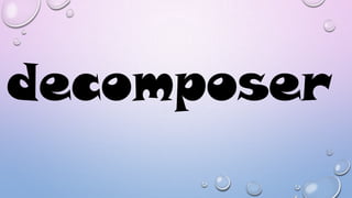 decomposer

 