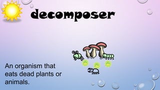 decomposer

An organism that
eats dead plants or
animals.

 