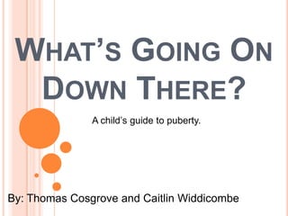 WHAT’S GOING ON
  DOWN THERE?
               A child’s guide to puberty.




By: Thomas Cosgrove and Caitlin Widdicombe
 