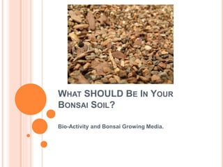 WHAT SHOULD BE IN YOUR 
BONSAI SOIL? 
Bio-Activity and Bonsai Growing Media. 
 