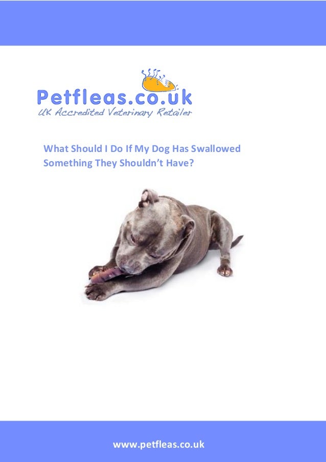 What should i do if my dog has swallowed something they shouldn’t have