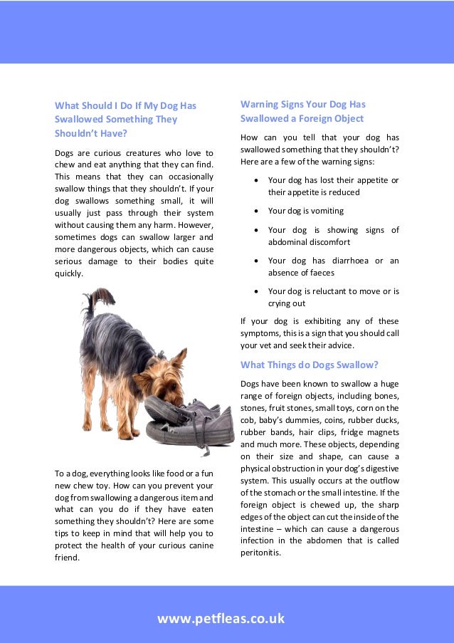 What should i do if my dog has swallowed something they shouldn’t have