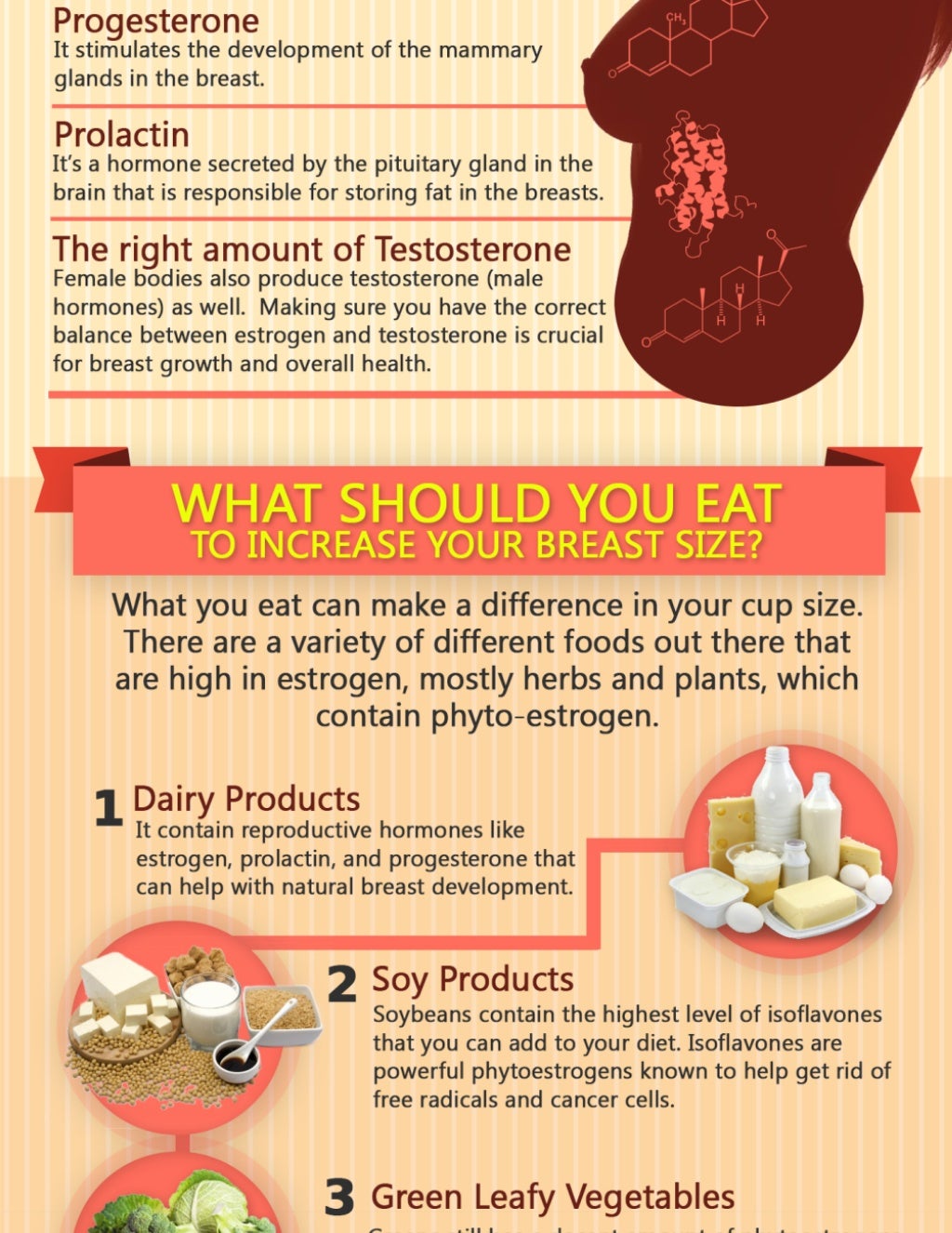 What Should You Eat To Increase Your Breast Size?