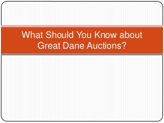 What Should You Know about
Great Dane Auctions?
 