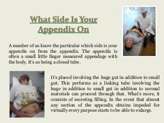 A number of us know the particular which side is your
appendix on from the appendix. The appendix is
often a small little finger measured appendage with
the body. It’s as being a closed tube.

It’s placed involving the huge gut in addition to small
gut. This performs as a linking tube involving the
huge in addition to small gut in addition to normal
materials can proceed through that. What’s more, it
consists of secreting filling. In the event that almost
any section of the appendix obtains impeded for
virtually every purpose starts to be able to enlarge.

 