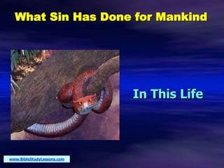 What Sin Has Done for Mankind
In This Life
www.BibleStudyLessons.com
 