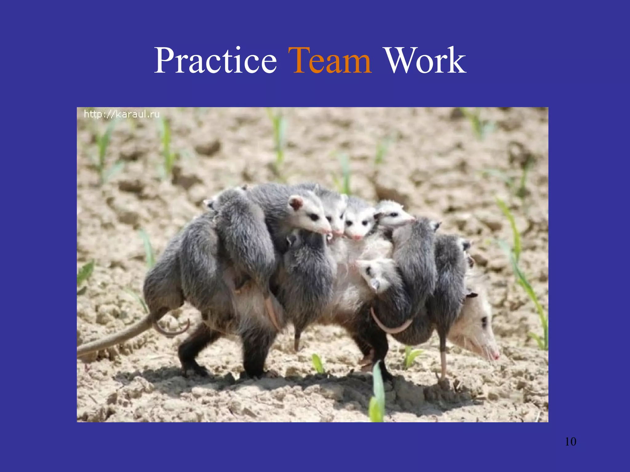 Practice Team Work




                     10
 