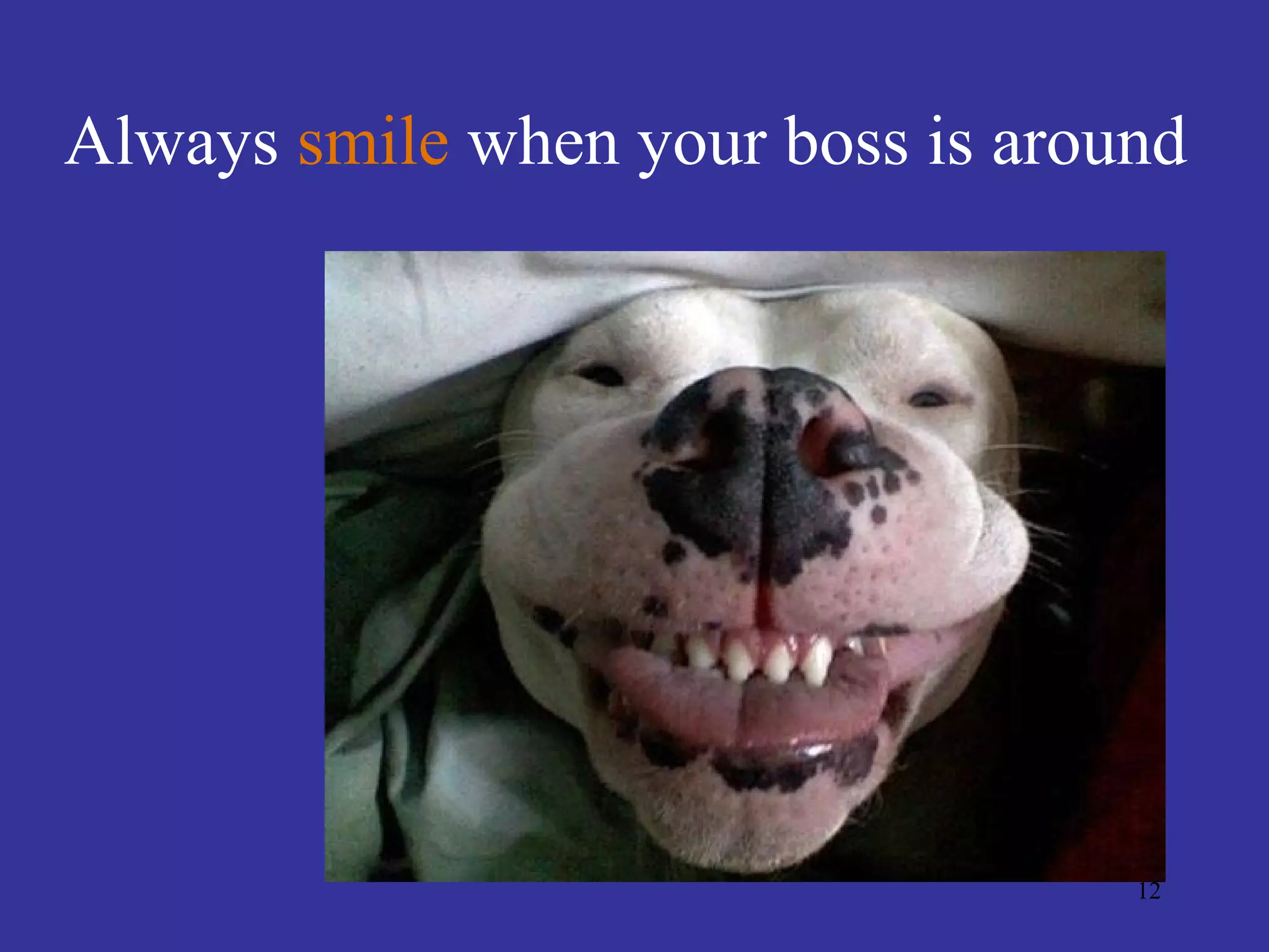 Always smile when your boss is around




                                   12
 
