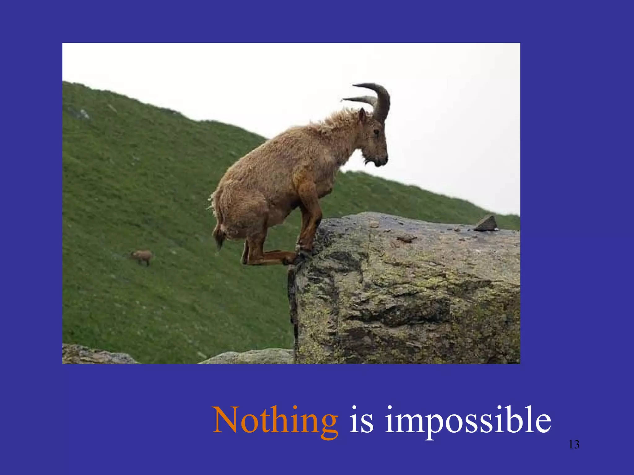 Nothing is impossible   13
 