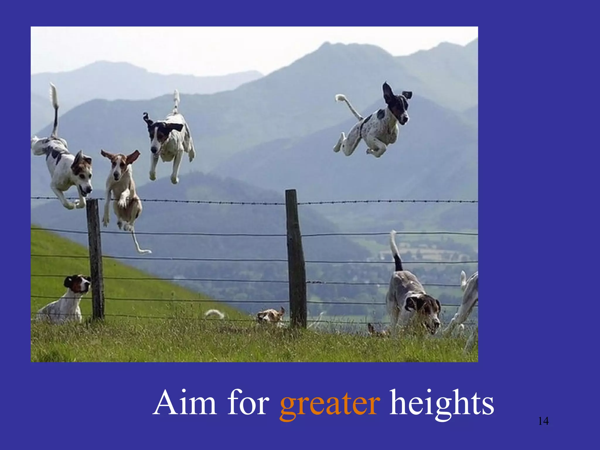 Aim for greater heights   14
 