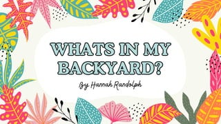 WHATS IN MY
BACKYARD?
WHATS IN MY
BACKYARD?
By Hannah Randolph
 