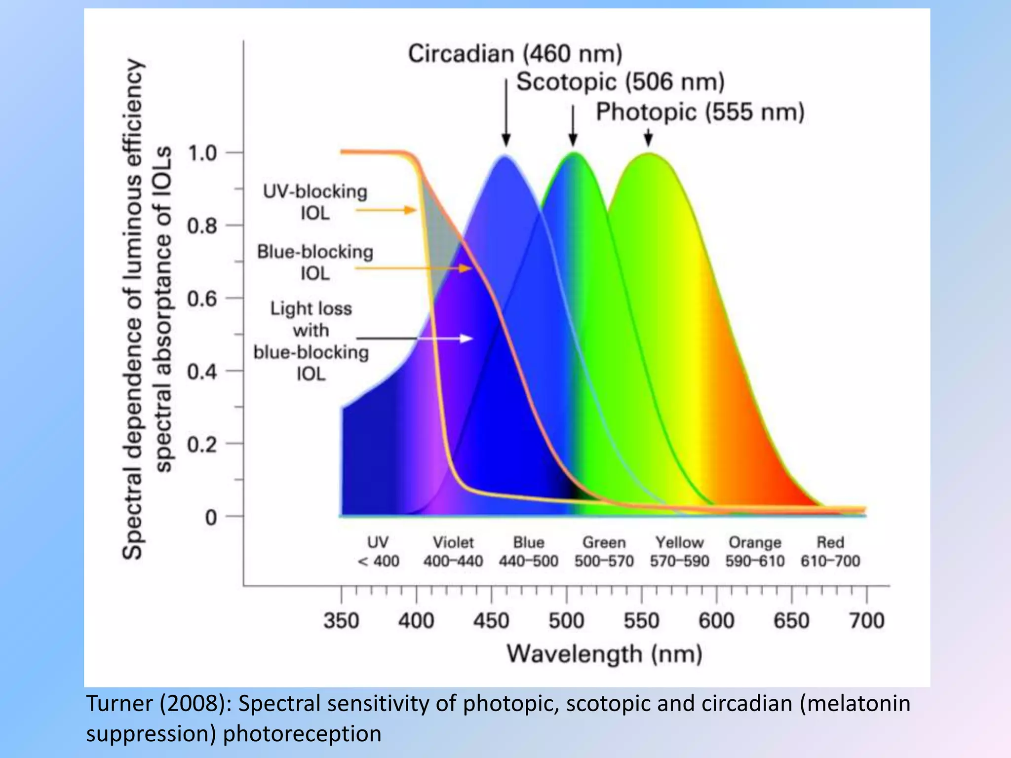Turner (2008): Spectral sensitivity of photopic, scotopic and circadian (melatonin
suppression) photoreception
 