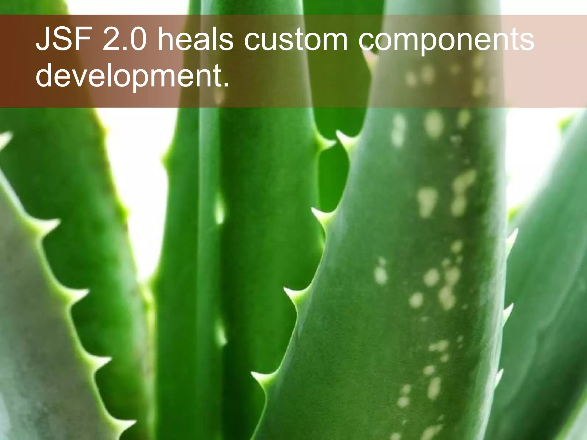 JSF 2.0 heals custom components development. 