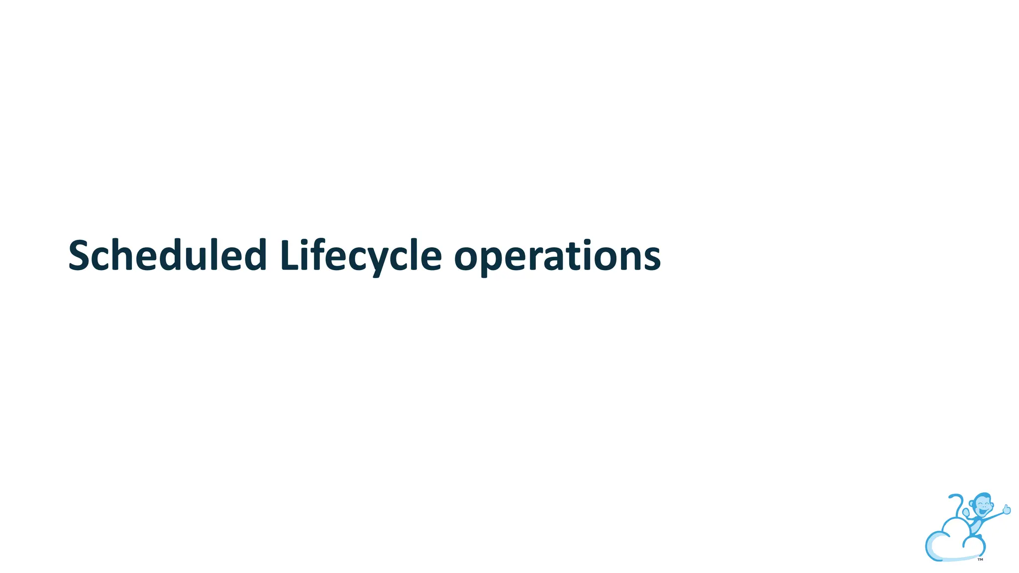 Scheduled Lifecycle operations
 