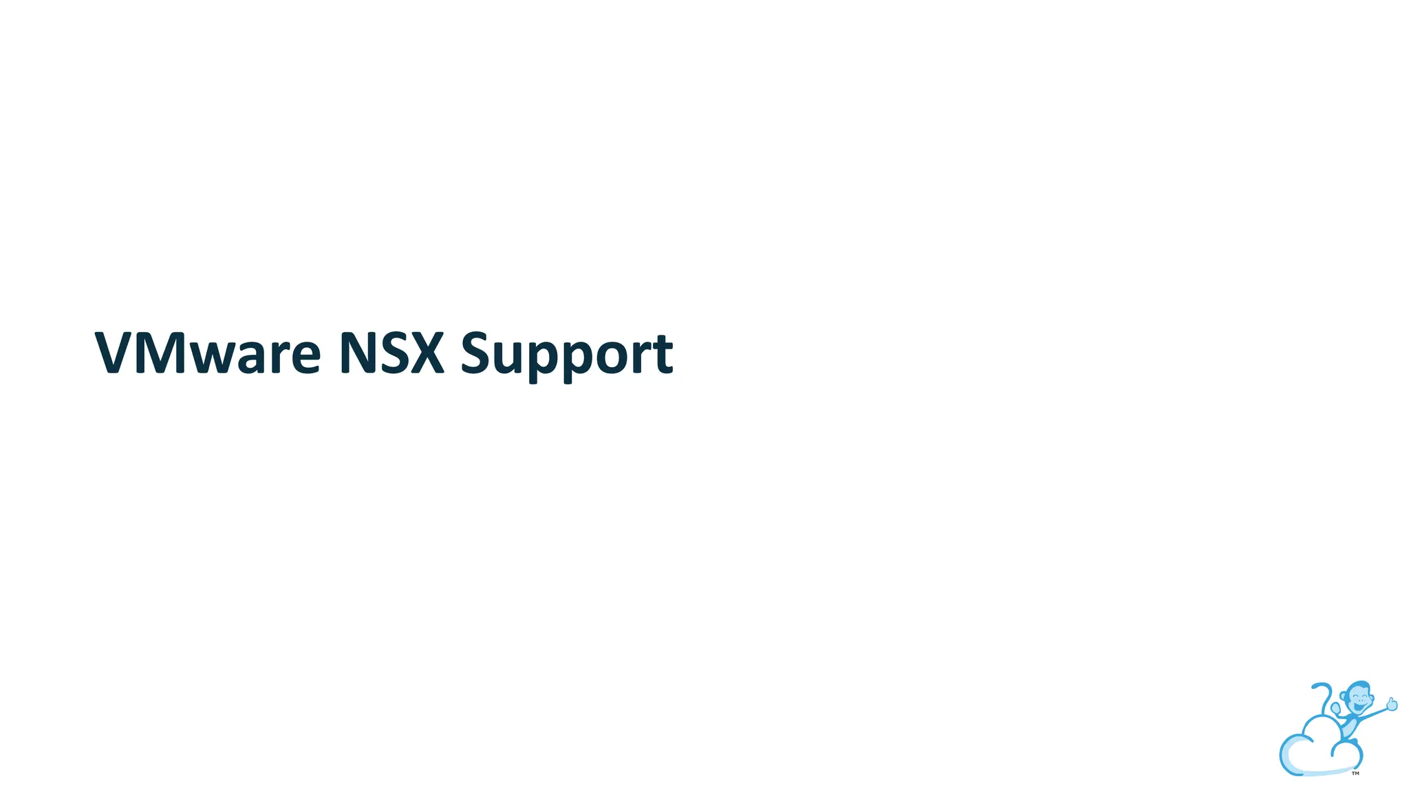 VMware NSX Support
 