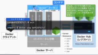 root@bdf6207621c7:/# exit
zem@dev:~$ docker stop bdf6207621c7
コ ン テ ナ の 終 了
そして、コンテナの終了とは、
PID 1 のプロセスを停止すること
をさします。docker stop や
docker kill コマンドも利用でき
ます。
 