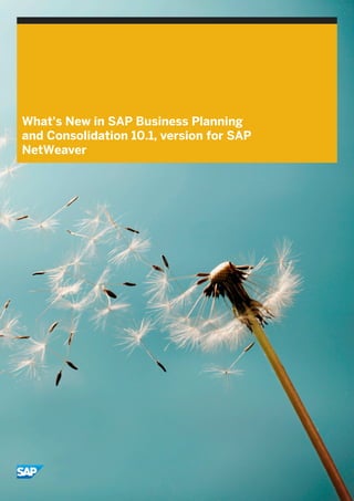 What's New in SAP Business Planning
and Consolidation 10.1, version for SAP
NetWeaver
 