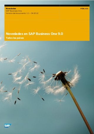 Novedades
SAP Business One
Versión del documento: 1.1 – 04.10.12
PÚBLICO
Novedades en SAP Business One 9.0
Todos los países
 