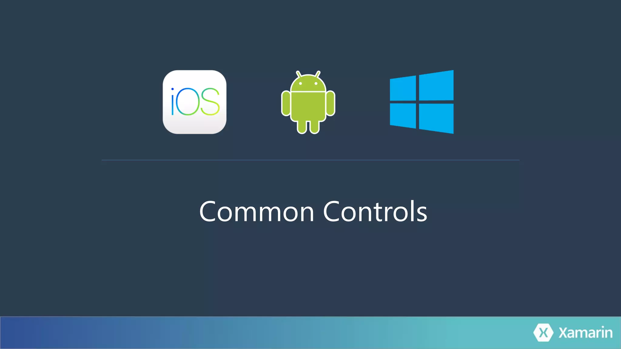 Common Controls
 