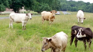 Source: flickr.com/deltamike
?
 