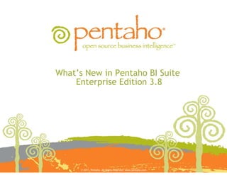 What’s New in Pentaho BI Suite
    Enterprise Edition 3.8




      © 2011, Pentaho. All Rights Reserved. www.pentaho.com.
 