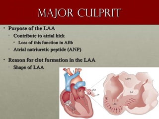 Major culpritMajor culprit
• Purpose of the LAAPurpose of the LAA
• Contribute to atrial kickContribute to atrial kick
• Loss of this function in AfibLoss of this function in Afib
• Atrial natriuretic peptide (ANP)Atrial natriuretic peptide (ANP)
• Reason for clot formation in the LAAReason for clot formation in the LAA
• Shape of LAAShape of LAA
 