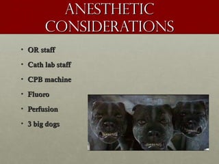 AnestheticAnesthetic
considerationsconsiderations
• OR staffOR staff
• Cath lab staffCath lab staff
• CPB machineCPB machine
• FluoroFluoro
• PerfusionPerfusion
• 3 big dogs3 big dogs
 