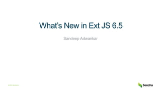 © 2016 Sencha Inc
What’s New in Ext JS 6.5
Sandeep Adwankar
 