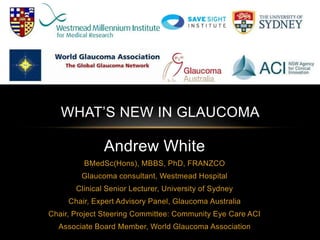 Andrew White
BMedSc(Hons), MBBS, PhD, FRANZCO
Glaucoma consultant, Westmead Hospital
Clinical Senior Lecturer, University of Sydney
Chair, Expert Advisory Panel, Glaucoma Australia
Chair, Project Steering Committee: Community Eye Care ACI
Associate Board Member, World Glaucoma Association
WHAT’S NEW IN GLAUCOMA
 