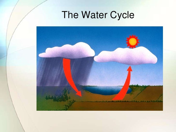 Whats New In Kindergarten Science And Engineering10 15