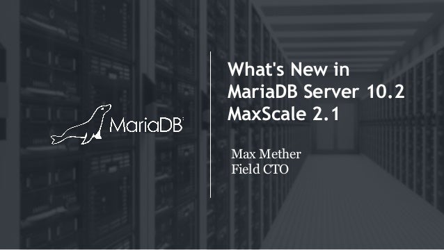 Mariadb create user max_user_connections