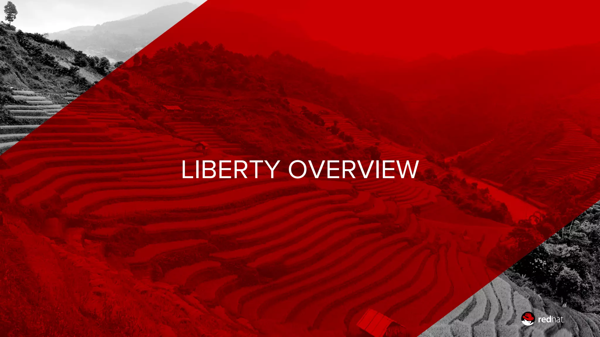 LIBERTY OVERVIEW
 