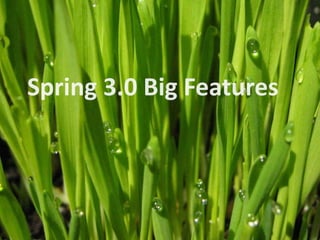 Whats New In Spring 3.0 ?
