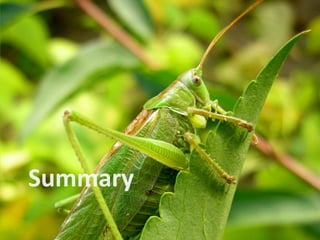 Whats New In Spring 3.0 ?