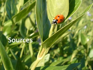 Whats New In Spring 3.0 ?