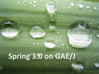 Whats New In Spring 3.0 ?