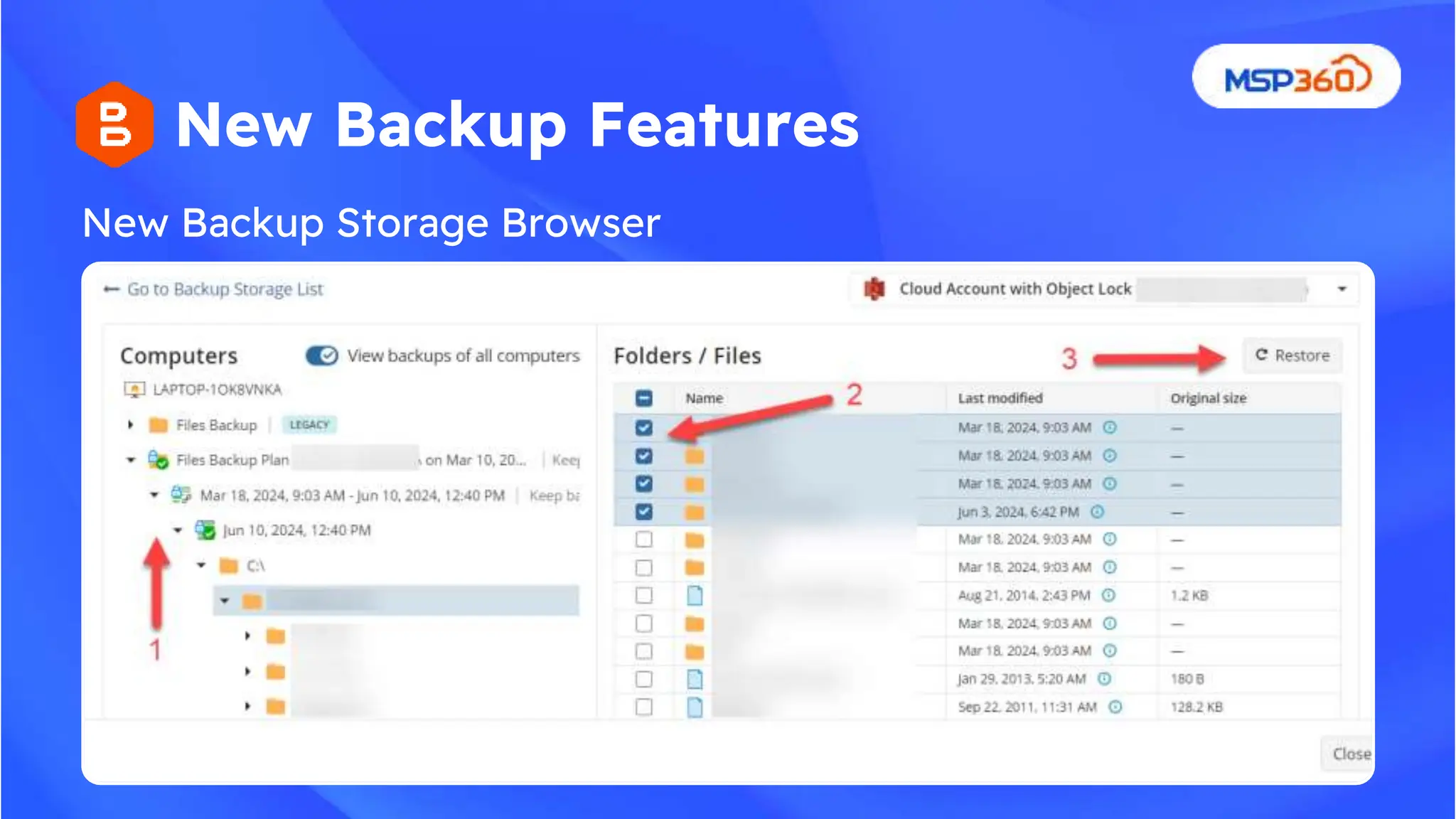 New Backup Features
New Backup Storage Browser
 