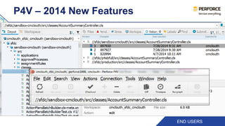 P4V – 2014 New Features 
END USERS 
 