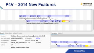 P4V – 2014 New Features 
END USERS 
 