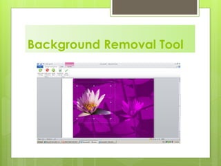 Background Removal Tool
 