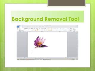 Background Removal Tool
 