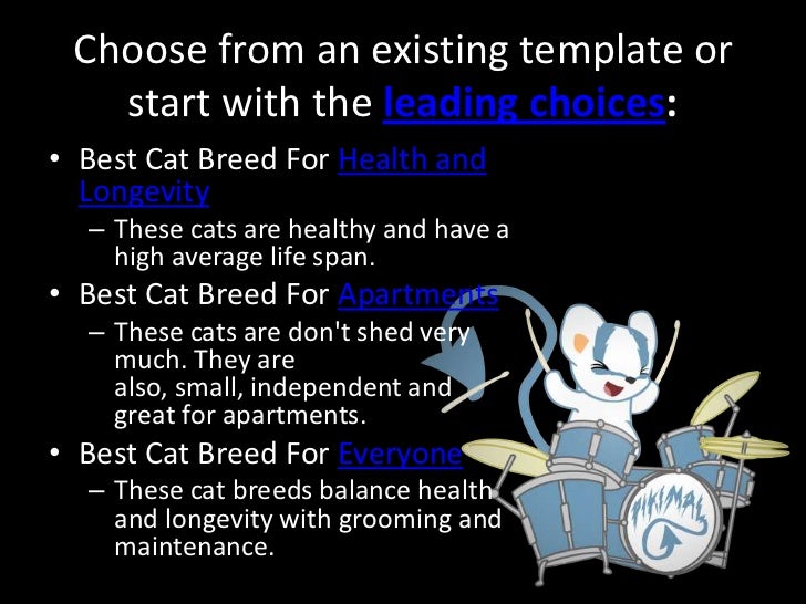 Best Cat Breeds For Low Maintenance No Shed Best Cat Breeds For Low Maintenance No Shed