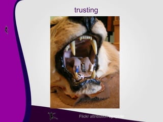 trusting Flickr attribution   opxphile 