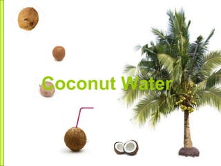 Coconut Water
 