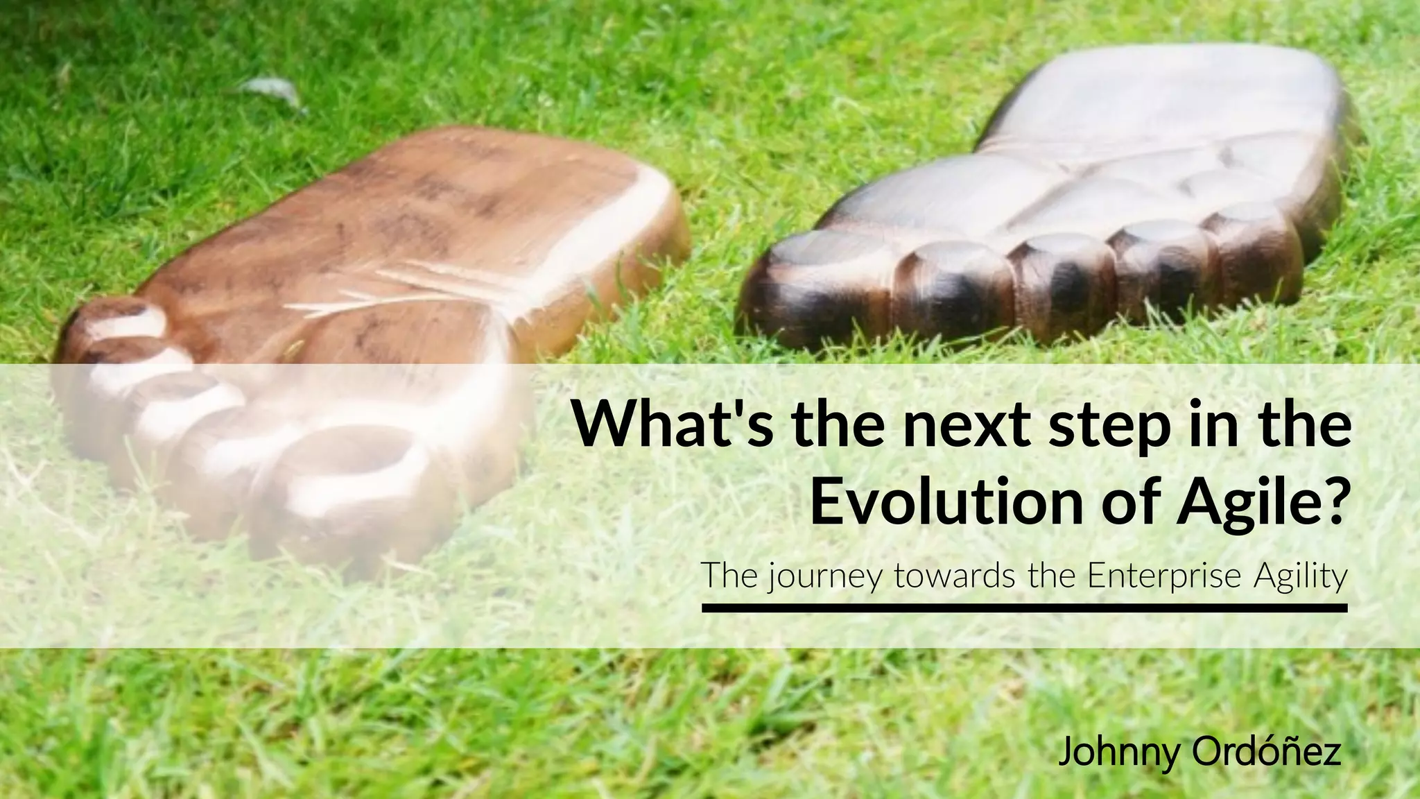 What's the next step in the
Evolution of Agile?
The journey towards the Enterprise Agility
Johnny Ordóñez
 