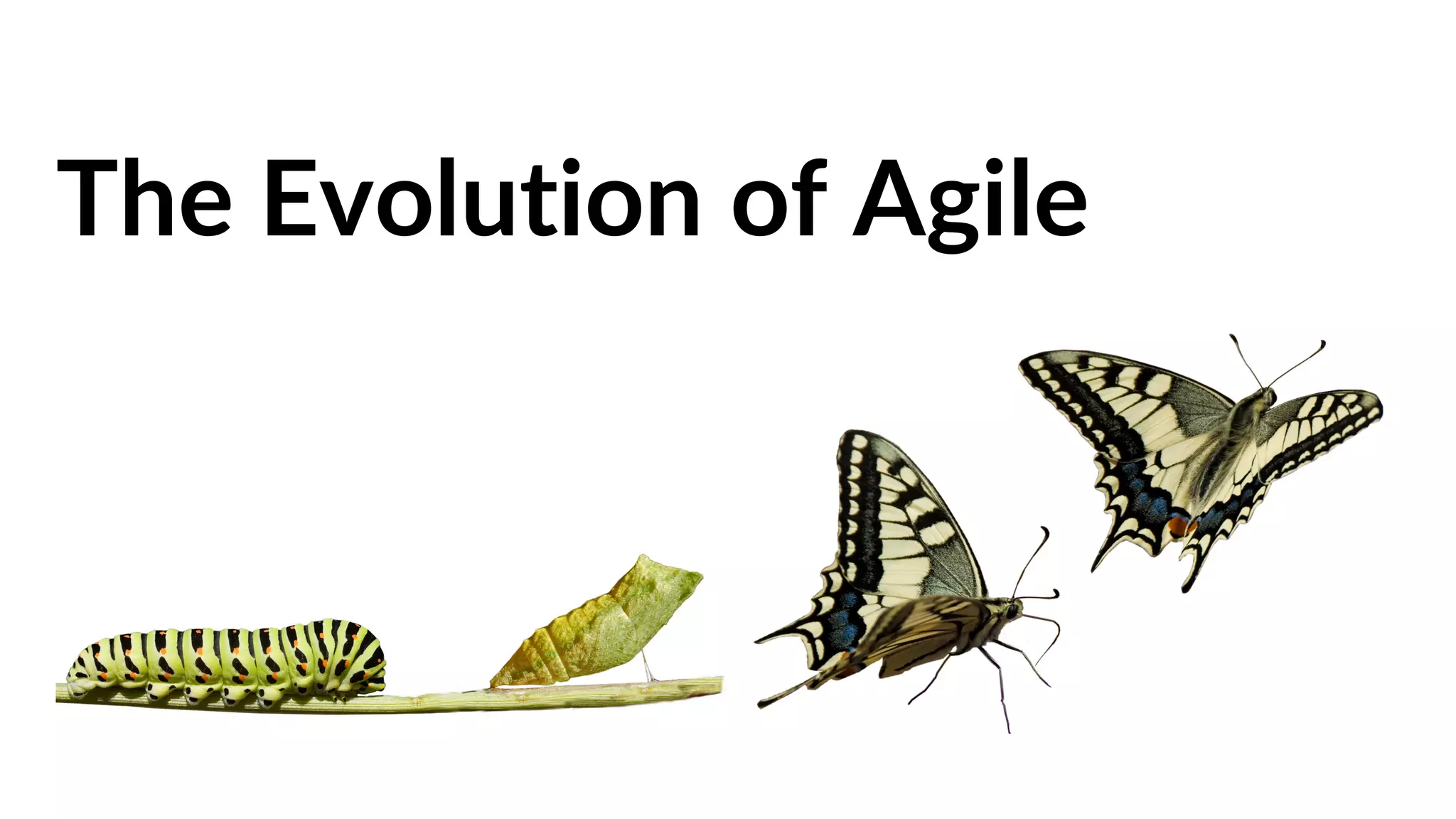 The Evolution of Agile
 