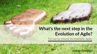 What's the next step in the
Evolution of Agile?
The journey towards the Enterprise Agility
Johnny Ordóñez
 