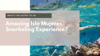 Amazing Isla Mujeres
Snorkeling Experience?
 