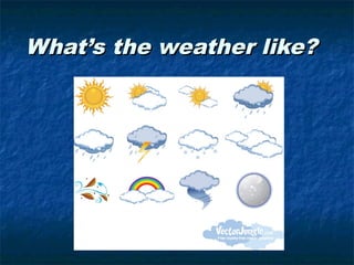 What’s the weather like?
 